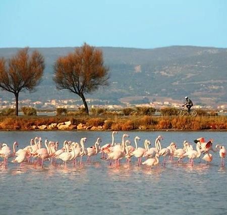 Appart Beziers Plage Exterior foto