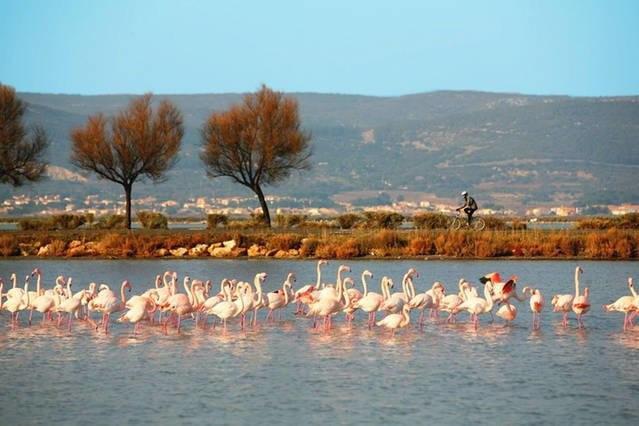 Appart Beziers Plage Exterior foto